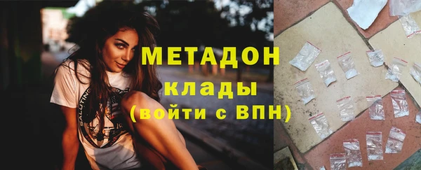 прущие грибы Балабаново