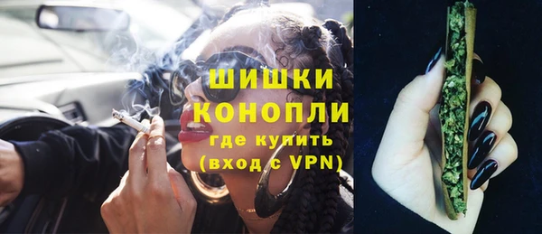 прущие грибы Балабаново
