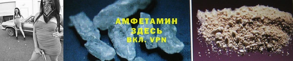 прущие грибы Балабаново