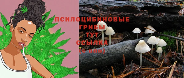 прущие грибы Балабаново