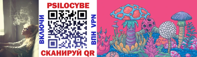shop телеграм  Цивильск  Псилоцибиновые грибы MAGIC MUSHROOMS  что такое наркотик 